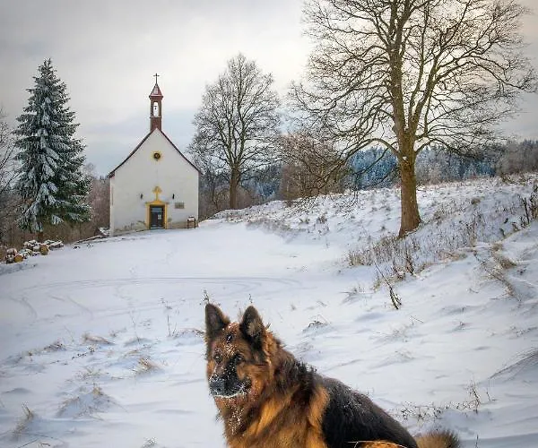Apartment Clara Ladek-Zdroj